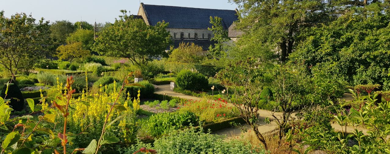 Abbaye de Daoulas - Image - Jardin des plantes médicinales