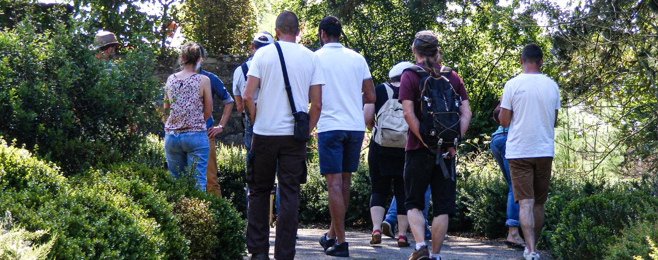 Abbaye de Daoulas - Image - Visite Balade aux jardins 7