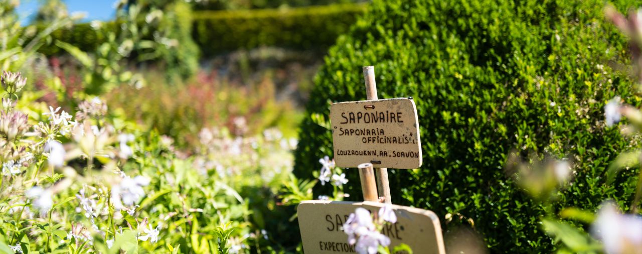 Abbaye de Daoulas - Image - Cartel botanique jardins