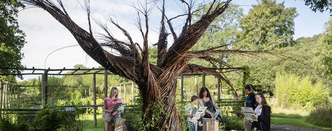 Abbaye du Relec - Image - Au pied de mon arbre - Expo 2024