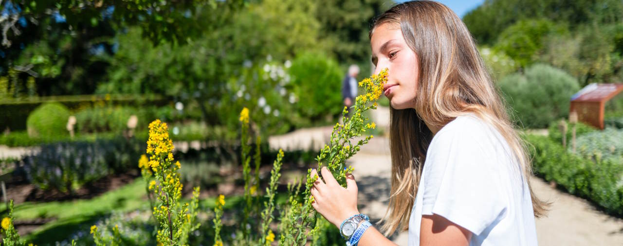 Abbaye de Daoulas - Image Sentir fleur - Rendez-vous aux jardins