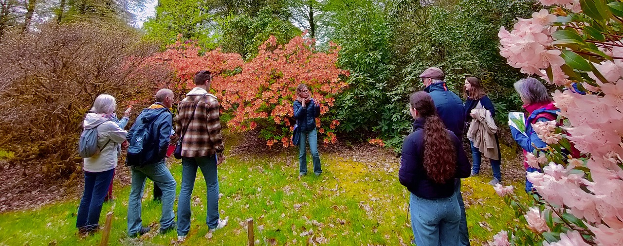 Domaine de Trévarez - image les aventures du rhodo