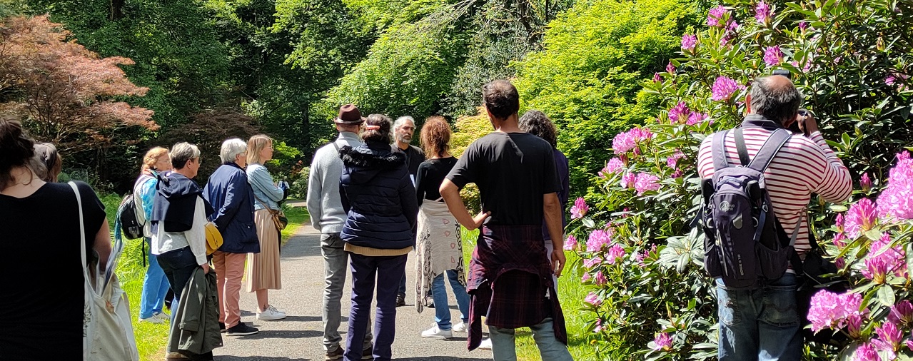 Domaine de Trévarez - image visite botanique Le rhodo, une plante de terre de bruyère