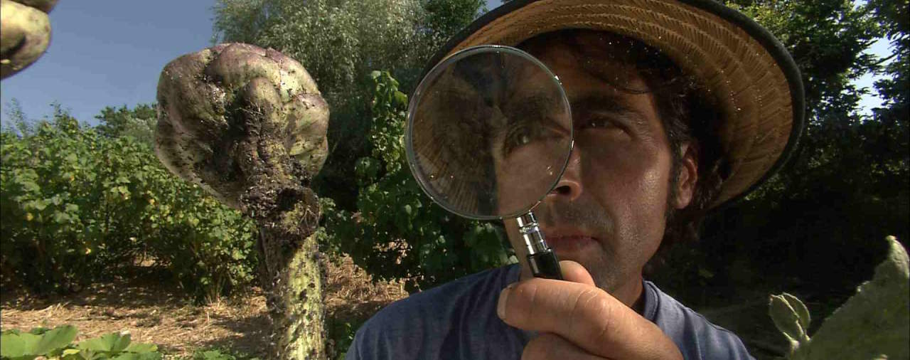 Abbaye du Relec - Image ciné rencontre "Guerre et paix dans le potager"