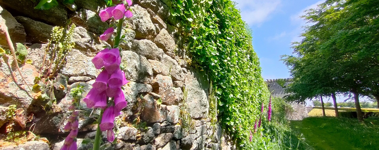 Château de Kerjean - image Un parc au coeur de granit