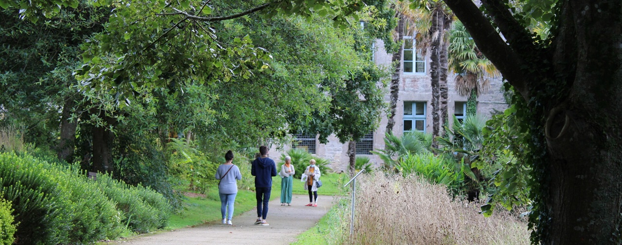 Abbaye de Daoulas - image 2 Une saison au jardin : automne