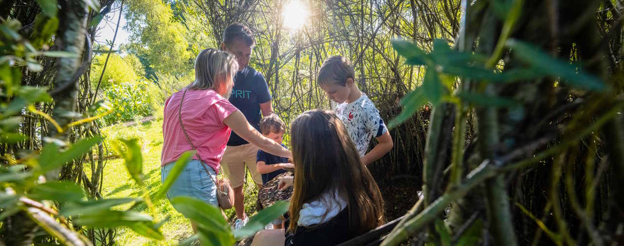 Merveilles et mystères d'automne au programme des vacances !