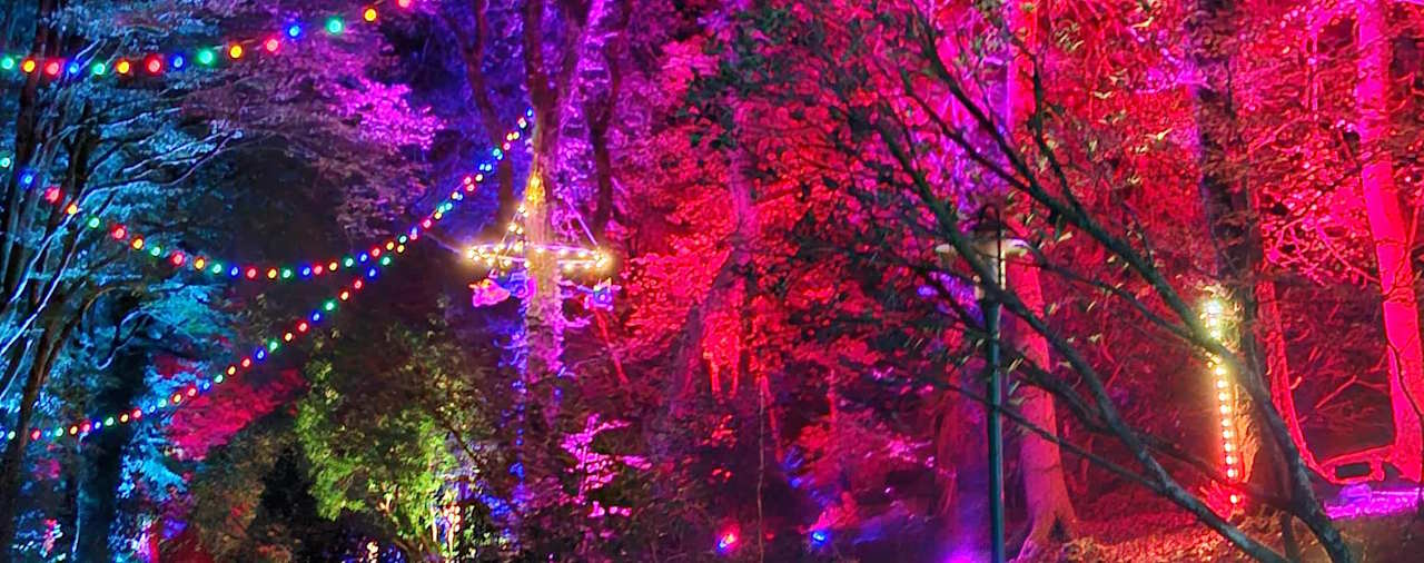 Domaine de Trévarez - Image Noel à Trévarez - Illumination parc 2024