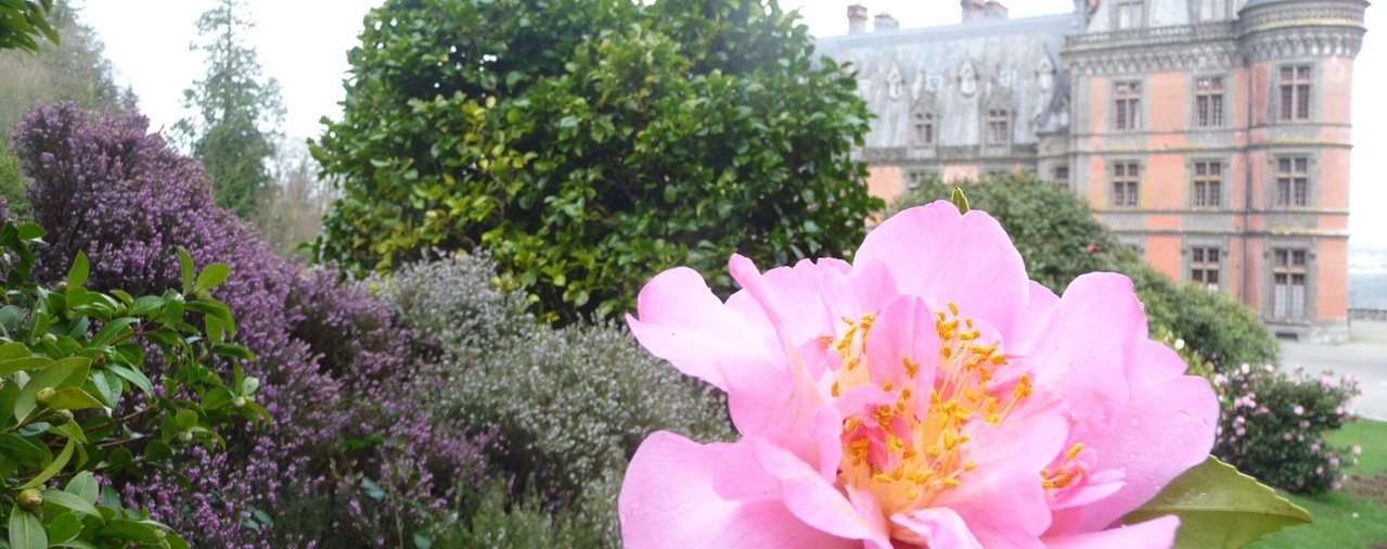 Domaine de Tr&eacute;varez - image Les jeudis cam&eacute;lia #2