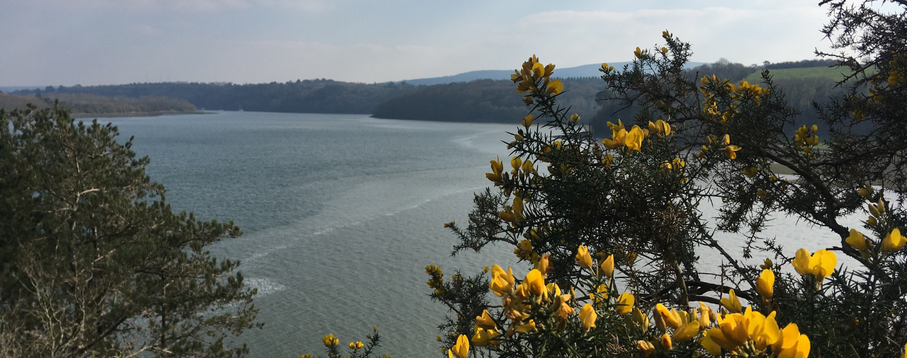 Musée de l'école rurale - balade patrimoine