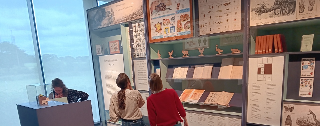 Mus&eacute;e de l'&eacute;cole rurale - exposition plus ou moins b&ecirc;tes