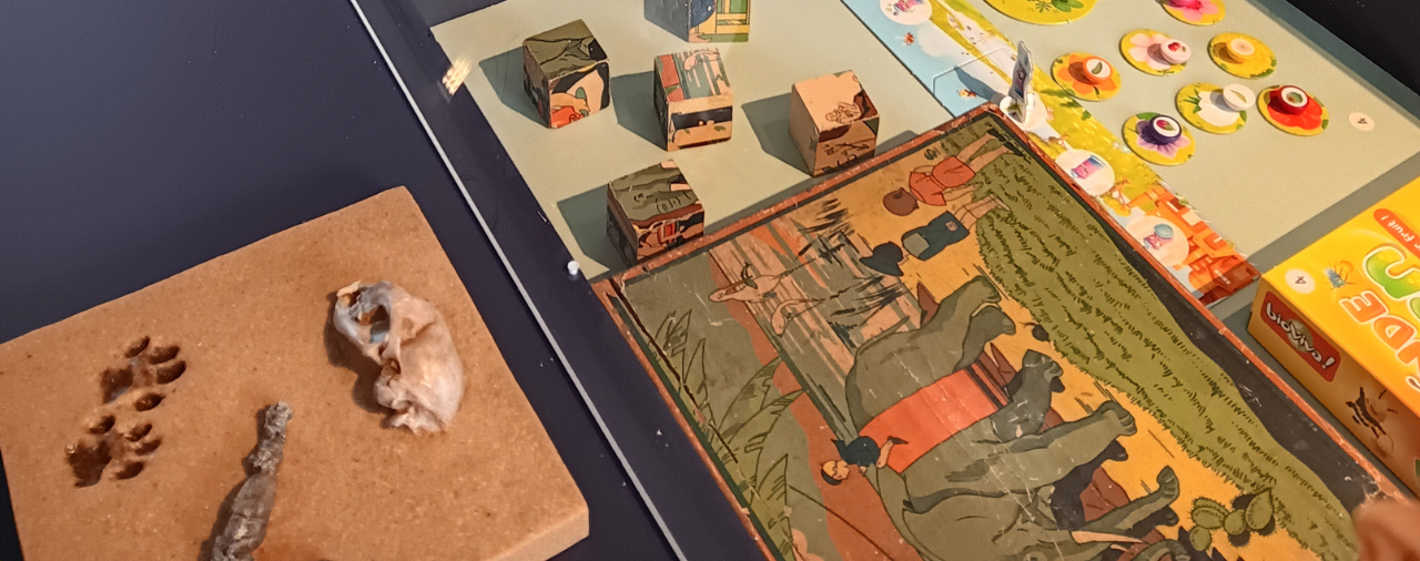 Mus&eacute;e de l'&eacute;cole rurale - Exposition Plus ou moins b&ecirc;tes #3