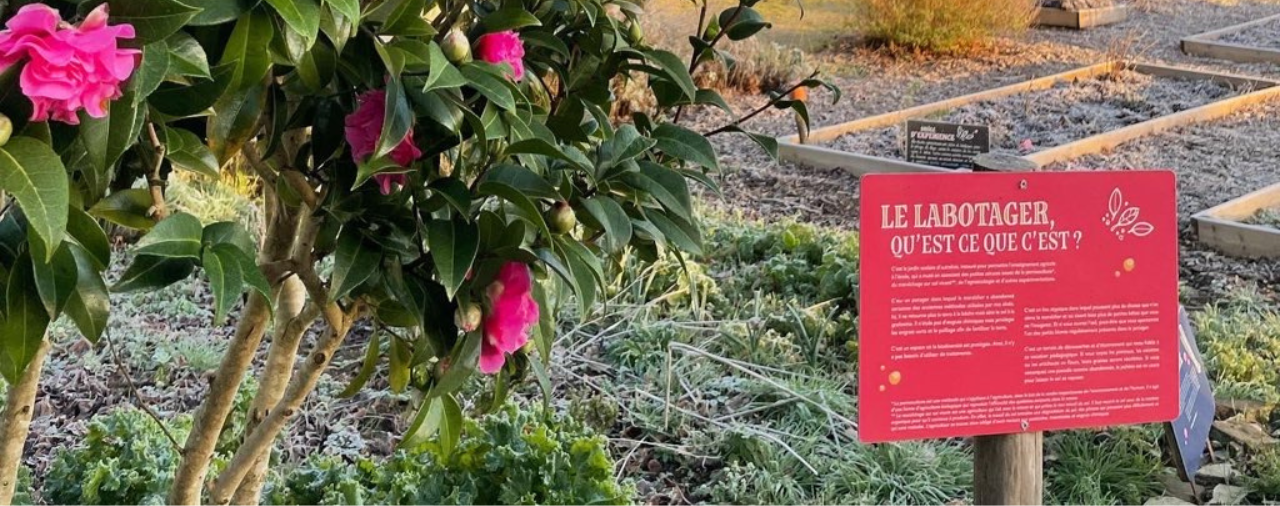 Mus&eacute;e de l'&eacute;cole rurale - Labotager #1