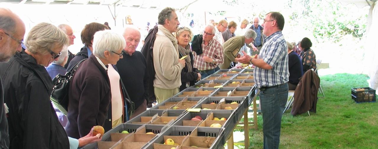 Ecomusée des monts d'arrée - image 2 Fête pommes