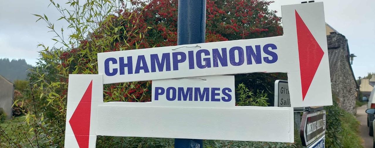 Ecomusée des monts d'arrée - image 3 Fête pommes