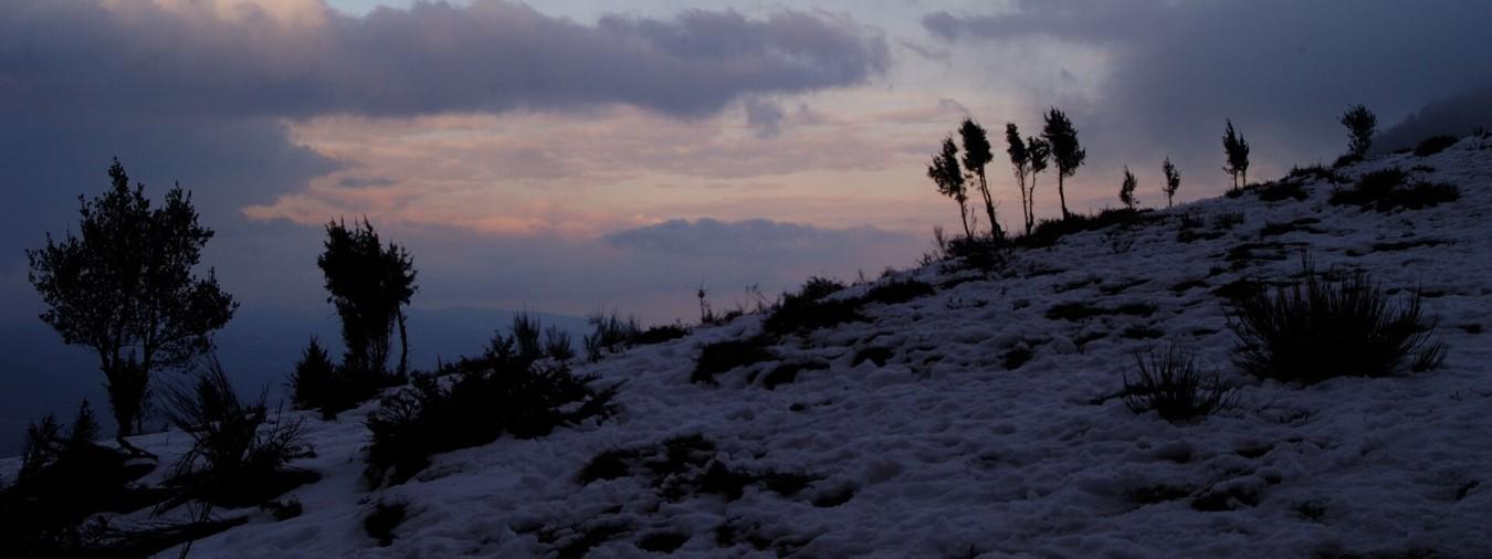Les balades photographiques de Daoulas - image 2 fontcuberta