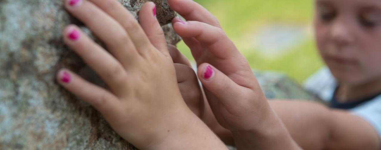 Abbaye de Landevennec - visite sensorielle