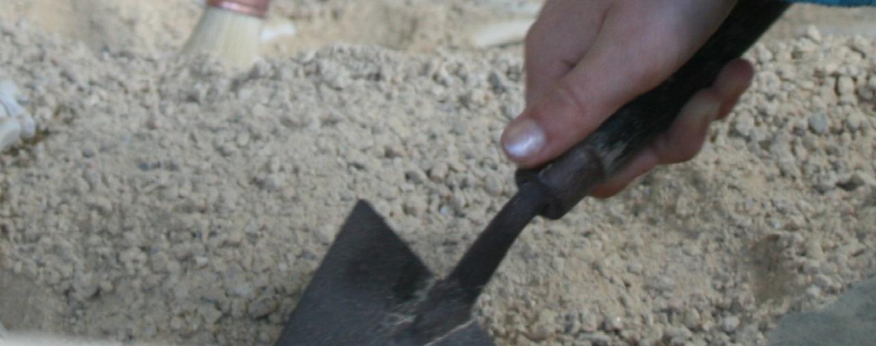 Abbaye de Land&eacute;vennec - Fouilles