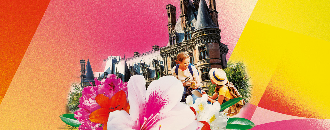 Saison botanique des rhodos : 1er au 24 mai