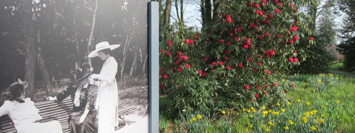 La Belle époque de Jacques Henri Lartigue