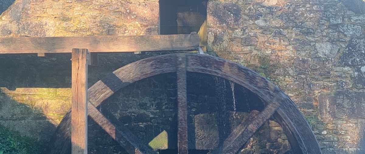 Ecomusée - JEP moulin eau