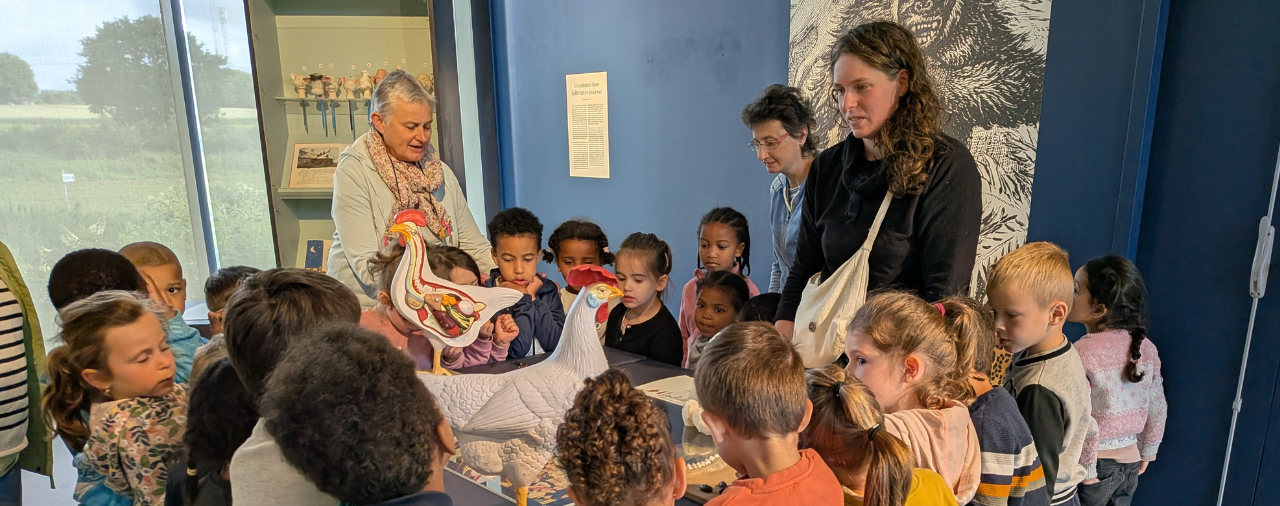 Musée de l'école - visite Plus ou moins bêtes