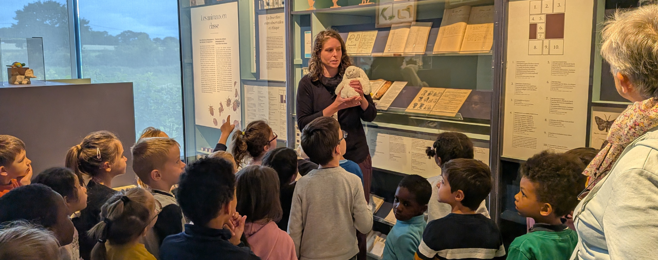 Mus&eacute;e de l'&eacute;cole - mon petit lapin