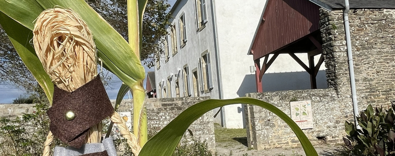 Musée de l'école - épouvantail