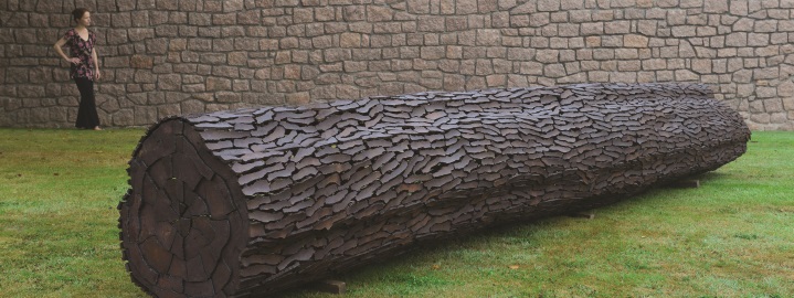 Daoulas - Un jardin des arbres médicinaux - Marc Didou - 2016