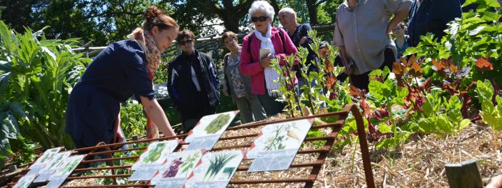 L'Abbaye du Relec - Le jardin potager - 2016