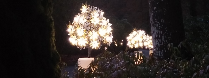 Trévarez - Noël à Trévarez - Illumination bouquet - 2016