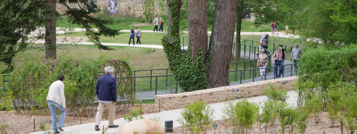 Daoulas - Jardin des arbres médicinaux - 2017