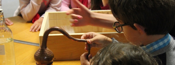 Daoulas - école - collègelycée - CL - handi - CS - philtres d'amour