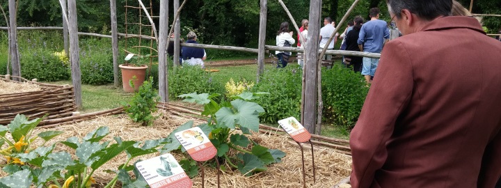 Relec - GA - Adulte- GH - La courge n'est pas qu'un légume pour la soupe