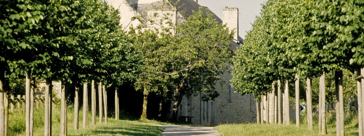 Kernault - école - collègelycée - CL - handi - CS - Arbres d'ici et d'ailleurs