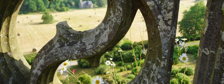 Trévarez - Jardin d'excellence au fils des saisons - paille marguerites - 2017