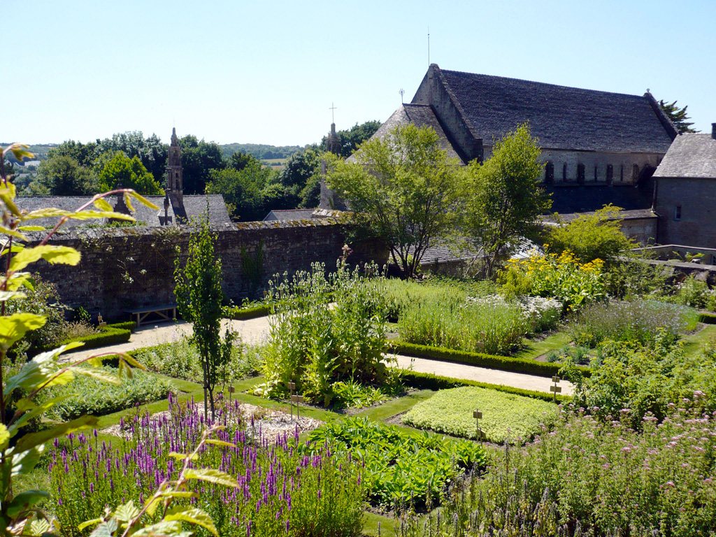 Jardin médicinal