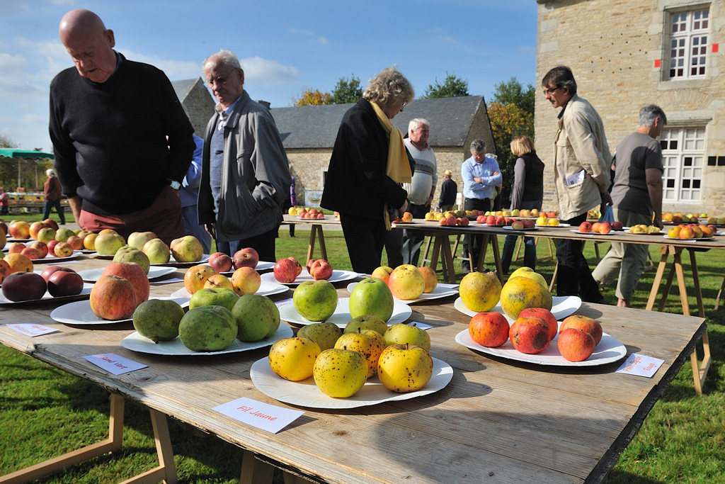 Fête d'Automne