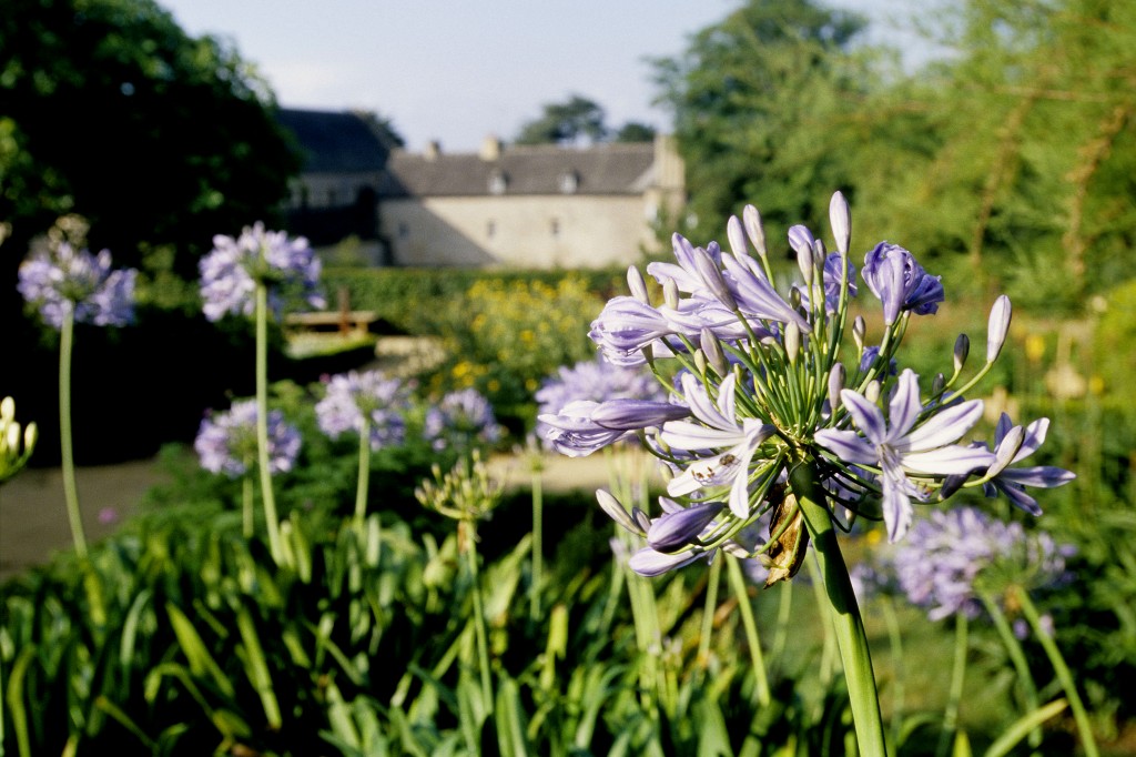 Jardins de Daoulas en 2006