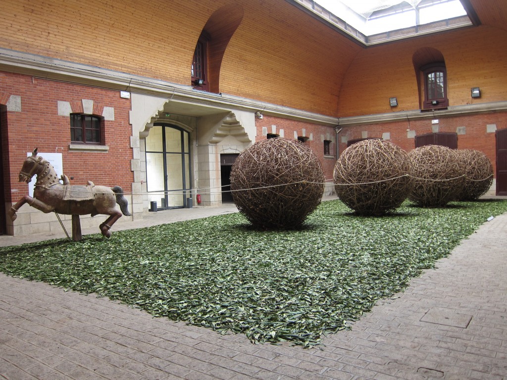 Lignées botaniques - Bob Verschueren