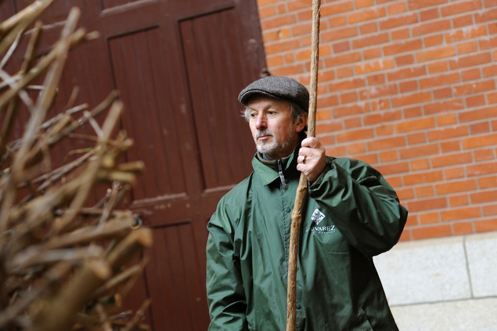 Lignées botaniques - Bob Verschueren