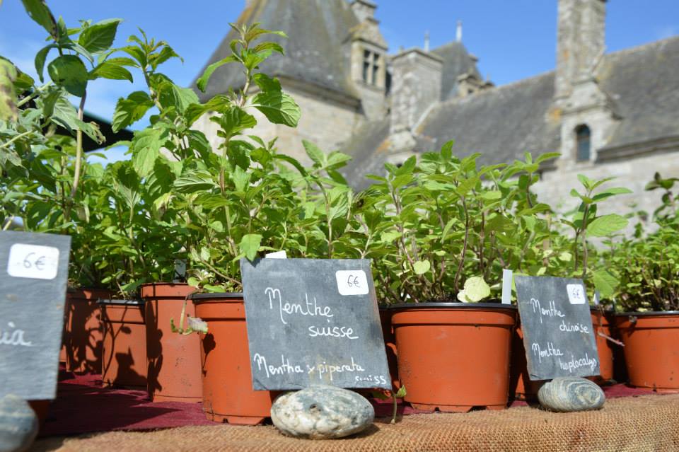 Journées des plantes de collection 2013