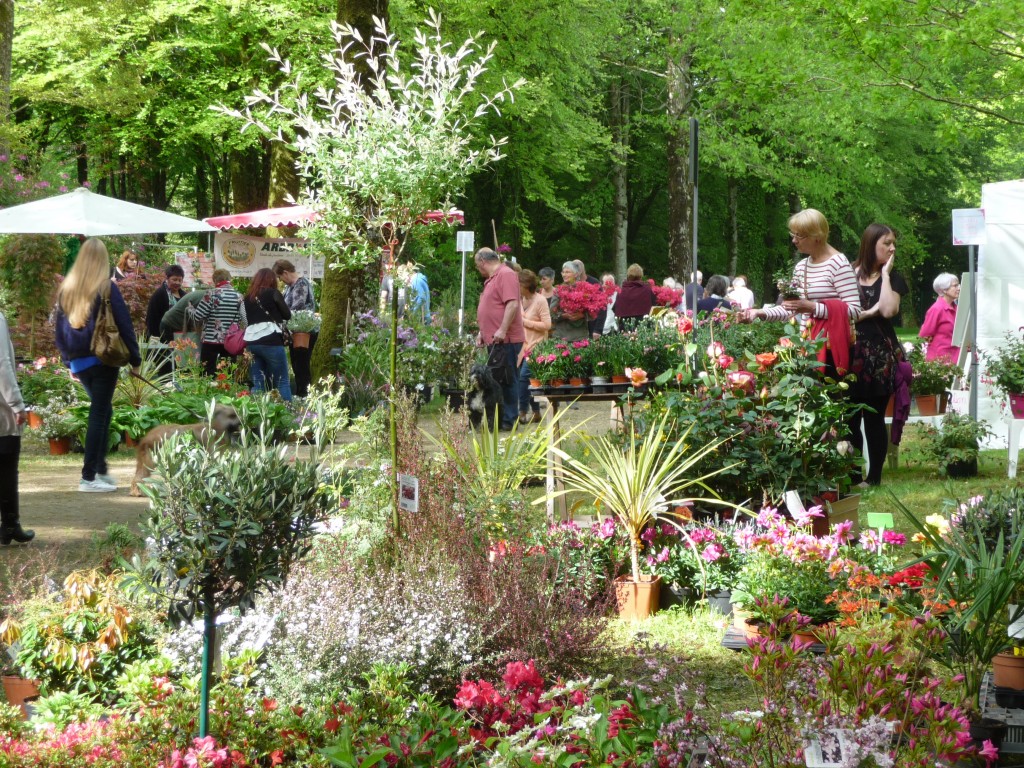 Domaine de Trévarez - Festival du rhododendron