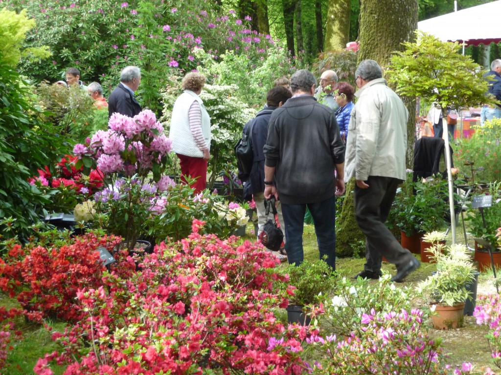 Domaine de Trévarez - Festival du rhododendron