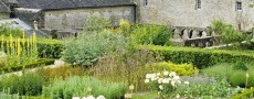 Jardin médicinal et cloître