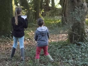Sur la trace des animaux