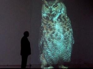 Bestiaire imaginaire
