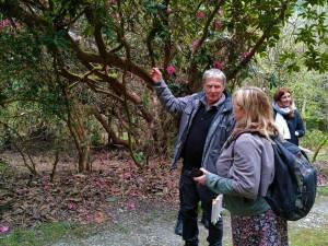 Visite du chef jardinier : Les rhodos historiques de Trévarez | Les dimanches Rhodo