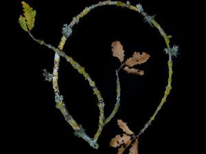La Nature dans l'objectif