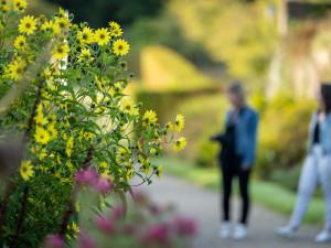 Un oeil sur la biodiversité